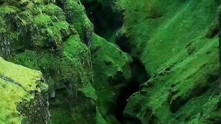 Beautiful view of nature