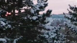 Beautiful view of nature