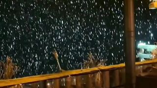 Beautiful view of nature