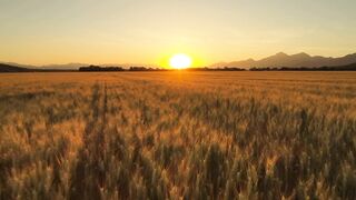 Calming Nature Sounds for Ambience & Stress Relief | lift me up | Sleep & Study