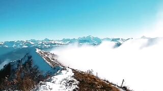 Beautiful view of nature