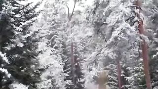 Beautiful view of nature