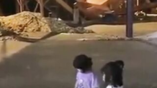 Llitle girl bite the dog funny video
