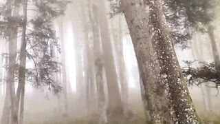 Beautiful view of nature