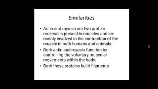 Actin and myosin