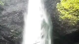 Beautiful view of nature