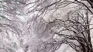 Beautiful view of nature