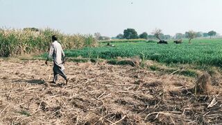 "A Tour of a Traditional Village"