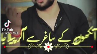 Seraiki songs status