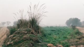 "A Day in the Life of a Village: A Beautiful Documentary Film"