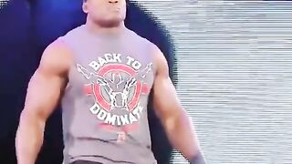 Roman reigns attitude wwe