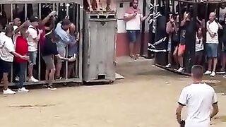 Brave man against bull