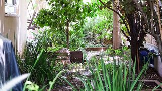 Satisfying Garden Cleaning 2022