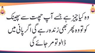 General Knowledge Question With Answers In Urdu Hindi Interesting Paheliyan 2022  Common Sense 37