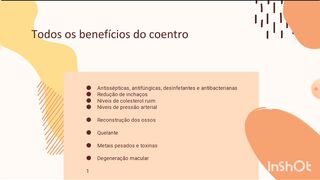Coentro: tudo o que você precisa saber