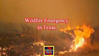 Wildfire emergency in Texas panhandle fueled by wind
