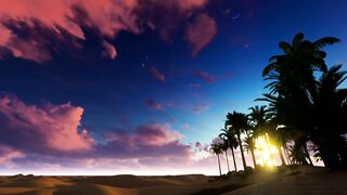 Sunset in the desert on the shore of an oasis