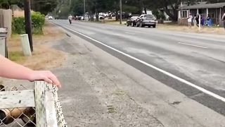 Bikers Vs. Cops Pt.2
