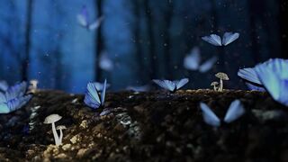 Peaceful Piano| Sleep Music, Relaxing Meditation Music (30 Minutes long)