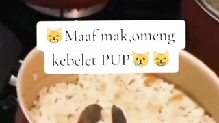 Nie Kocheng Ada2 Aja Kelakuan Na