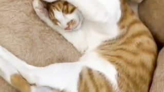 Kocheng Oyen Dimarahin Mommy