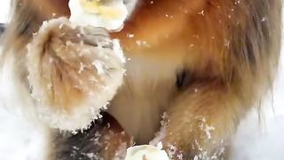 Nice eating