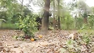 FUNNIEST ANIMALS