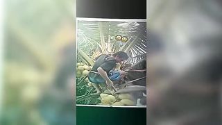 NEW BEST TIKTOK FUNNY VIDEOS