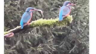 GDZsjBkTYhs5IUYDAJq4rN_LQlosbmdjAAAF.