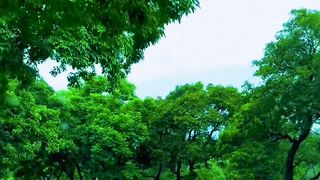 Amazing Natural beauty