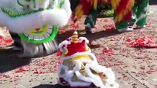 谁比较厉害...........