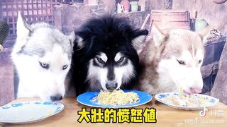 敢抢我粮食.....