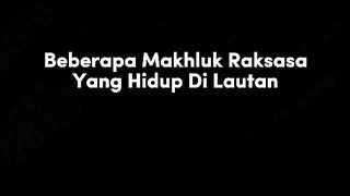 Makhluk Raksasa Yg Hidup Dilautan