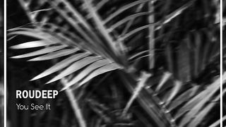 You See It · Roudeep