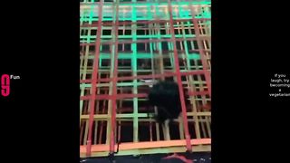 TRY NOT TO LAUGH ???? Best Funny Videos Compilation ???????????? Memes PART 1