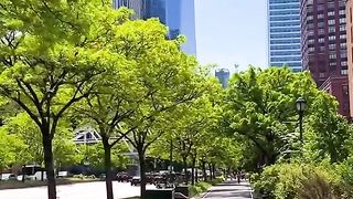 "New York: A Symphony of Urban Beauty"