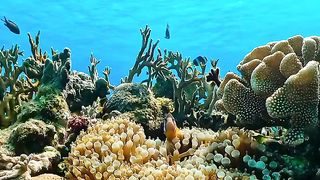 the fact that heaven is under the open sea, let's see this video