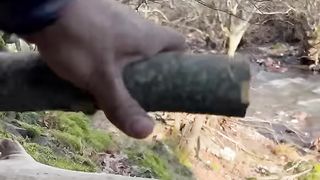 Roasted Whole Chicken in Nature