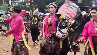 Sissy bull dance geal geol#fyp