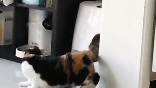 Отдохну и снова хулиганить!