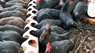 About Inspirational Information from various countries