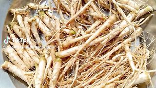 Herbal shorts video