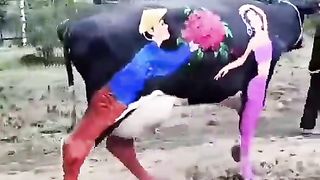 funny video