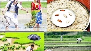planting time
