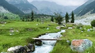 Amazing video
