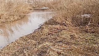 Весна