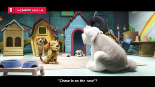 The PAW Patrol free the kidnapped dogs