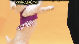 Жена устроила скандал, тот — в отмазку...