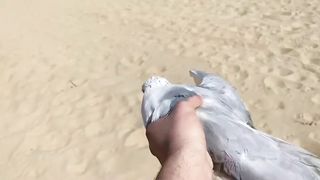 I caught a seagull.