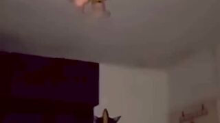 Big fails ???????????? #shortsfails #shortvideo #failsvideo